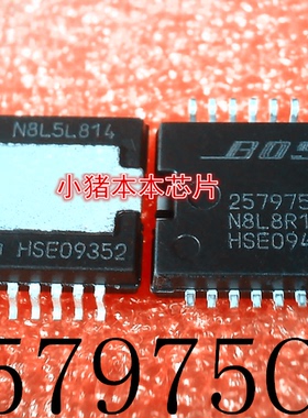 257975CU 257975  HSOP-20       新的