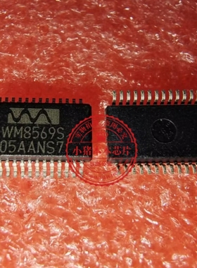 WM8569SEDS/RV  WM8569S  SSOP28 音频接口芯片