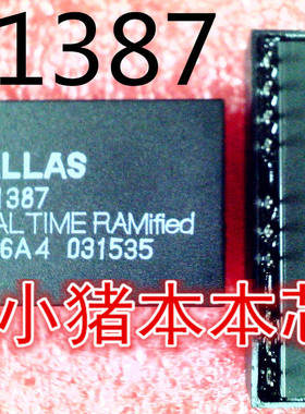 DS1387  DIP-20封装  新的