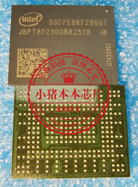 SSDPEBKF256G7  SSDPEBKF256G   SSOPEBKF256G7 BGA   新一个起拍