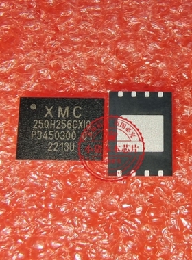 XM25QH256CXIQ XMC25QH256CXIQ   QFN  XM25RH256CXIQT10S