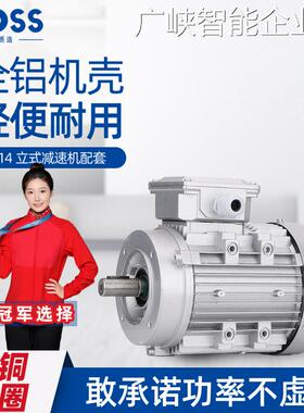 新品可开票对公普斯YS三相铝壳电0/750减速机RV马达立式B14小法兰