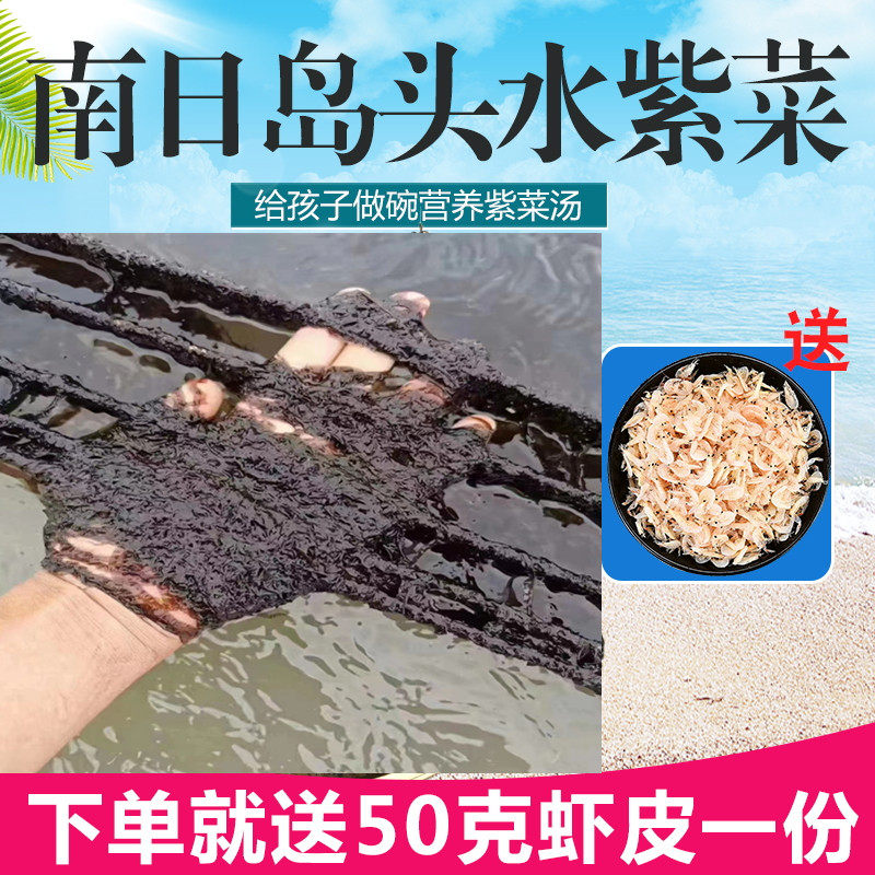 250克福建紫菜干货 南日岛头水紫菜 细嫩顺滑 无沙免洗无加工海产