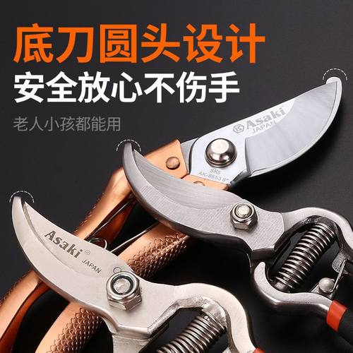 树枝专用剪刀园艺剪刀修枝剪