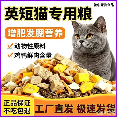 英短专用全价营养猫粮10斤装成猫幼猫通用增大包装通用型大小通用