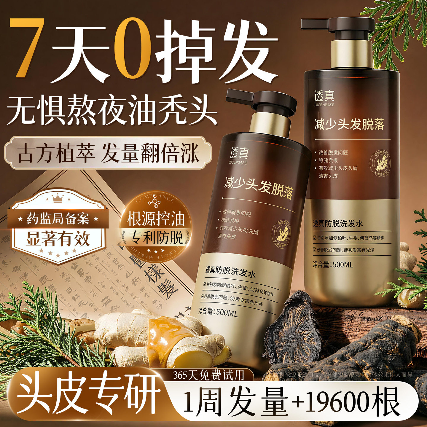 生姜侧柏叶洗发水防脱固发育发去屑止痒生膏露官方旗舰店控油蓬松