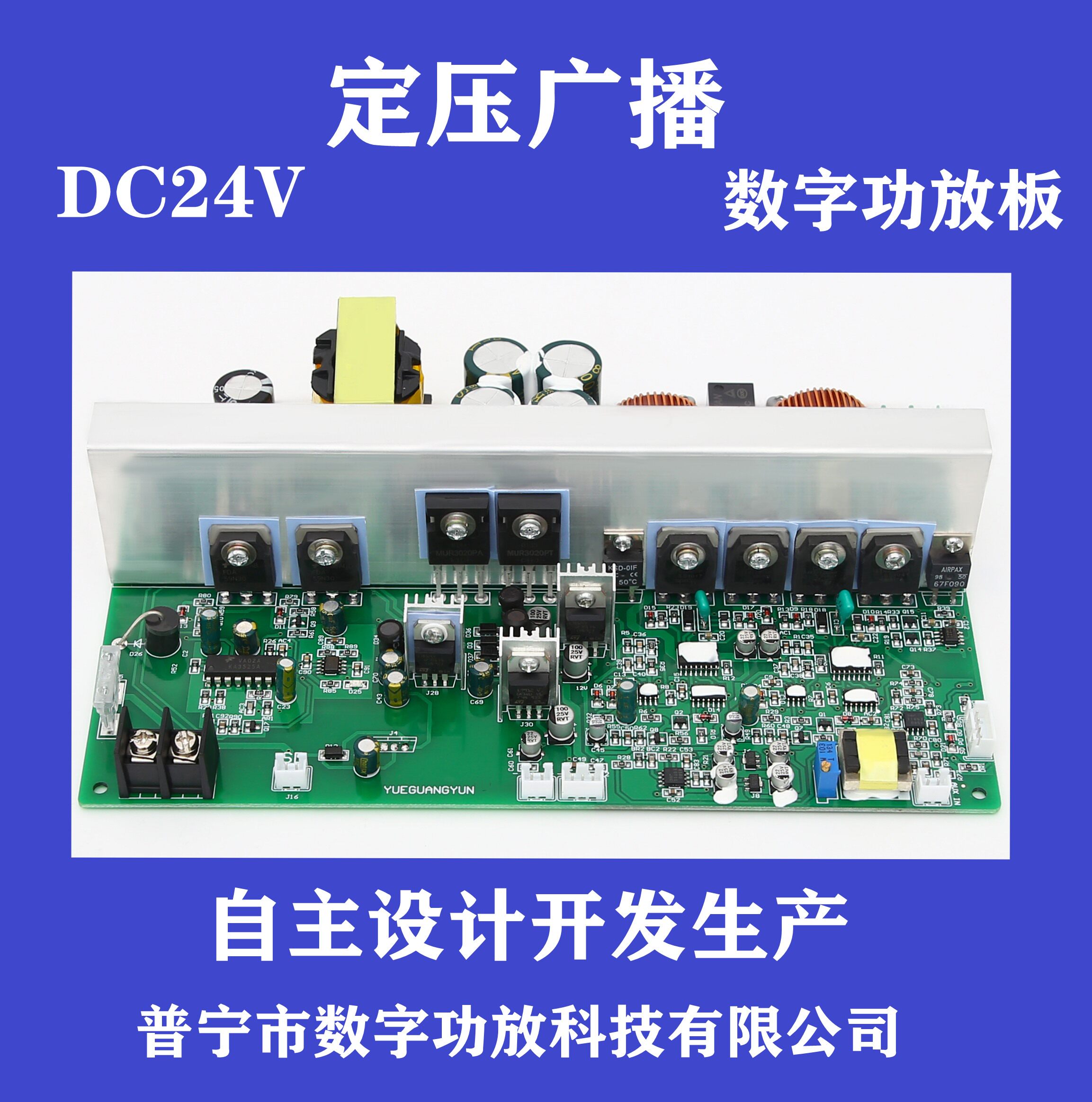 专业级直流24V600W大功率广播数字功放板 定压 功放板
