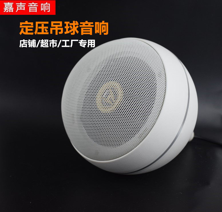 公共广播时尚同轴吊球音箱吊吸顶音响超市商场网吧餐厅悬挂式喇叭