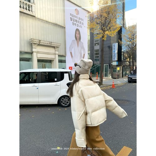 aaaaxbbb羊毛羽绒服立领外套两色