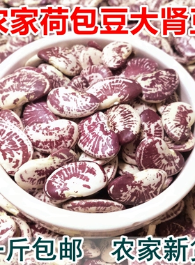 云南农家荷包豆状元豆大肾豆500g豆类五谷杂粮花芸豆花豆非斑马豆