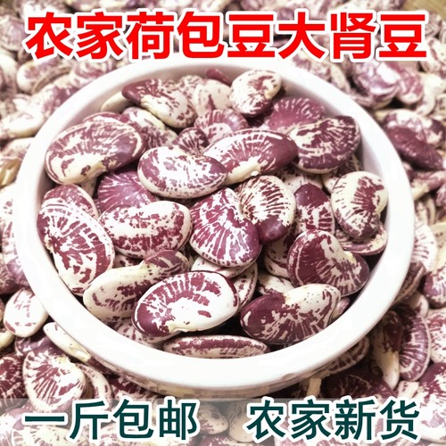 荷包豆1斤农家花豆肾豆芸豆