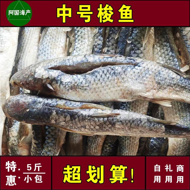 渤海湾10斤特产中号梭鱼5斤鲜活