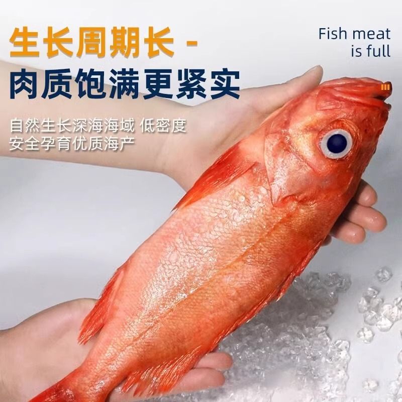 红鱼冷冻新鲜特大深海红石斑鱼班
