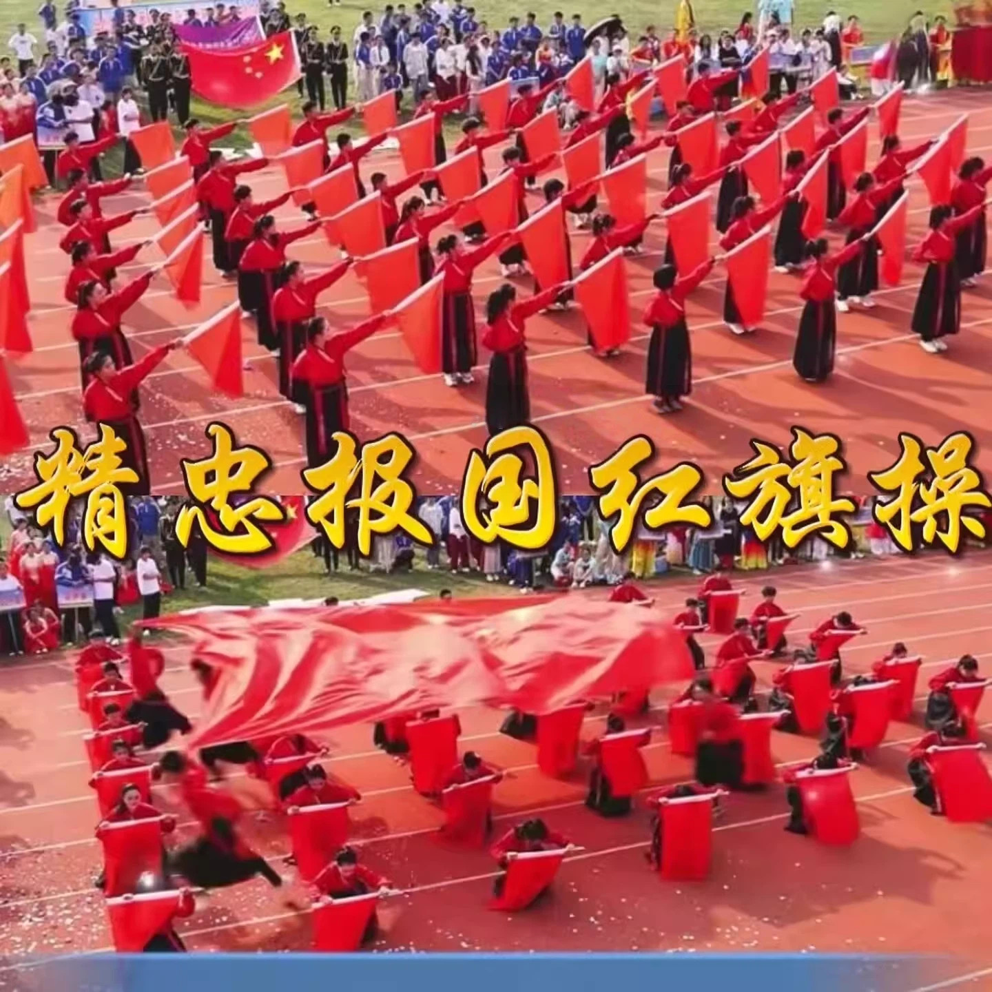 精忠报国演出服雪龙吟中图片