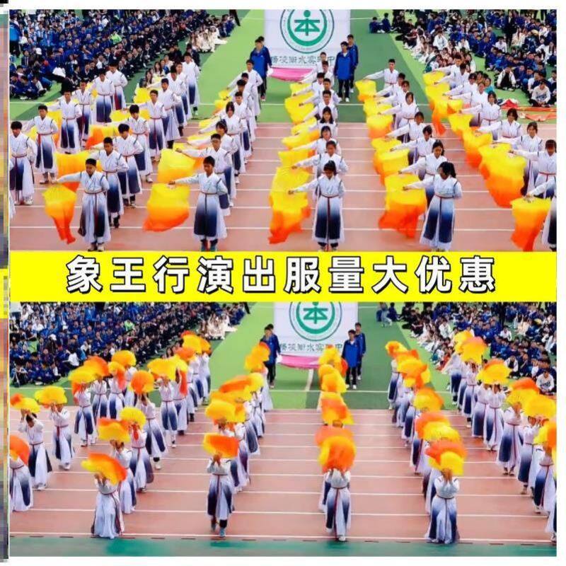 象王行精忠报国儿童演出图片