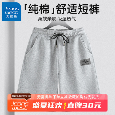 GV真维斯重磅纯棉短裤男款夏季新款美式休闲五分裤男士大码中裤B