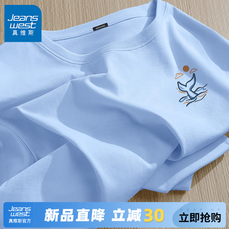 GV真维斯纯棉短袖t恤男2025新款夏季宽松冰川蓝显白男生干净穿搭C
