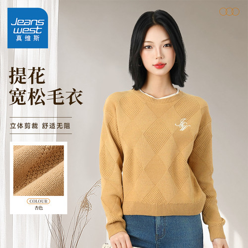 真维斯圆领肌理提花毛衣上衣女