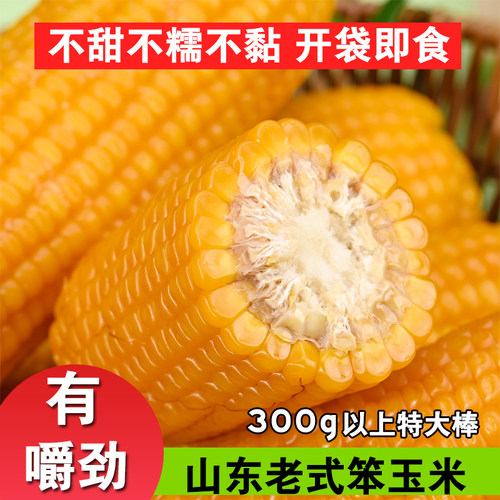 传统老式笨玉米真空独立包装开袋即食熟普通新鲜黄玉米不甜不糯黏