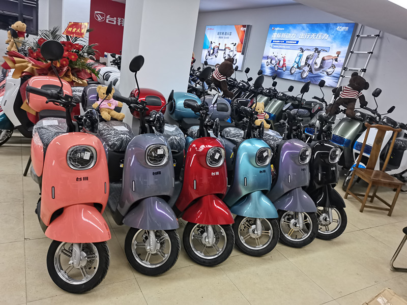 台翔新国标m5电动车48v铅酸小龟王电瓶车快速接娃代步电动车