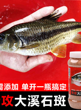 窝料野钓石斑鱼通杀秘制窝料
