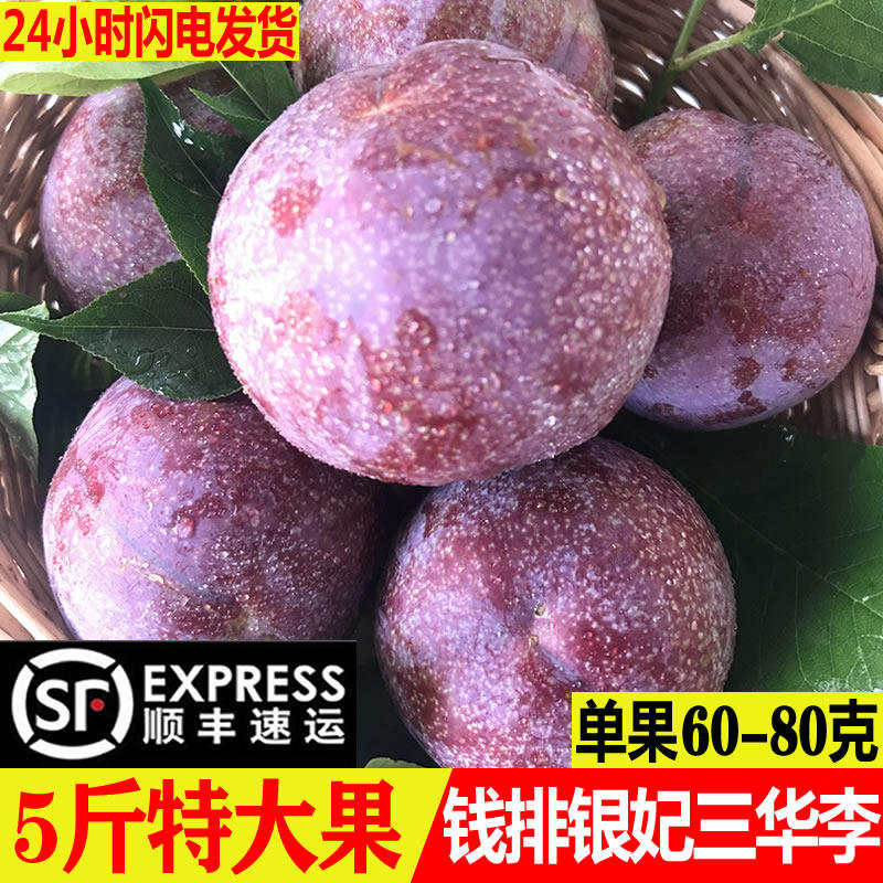 果王钱排银妃三华李孕妇新鲜水果信宜红心李子甜酸脆李5斤顺丰