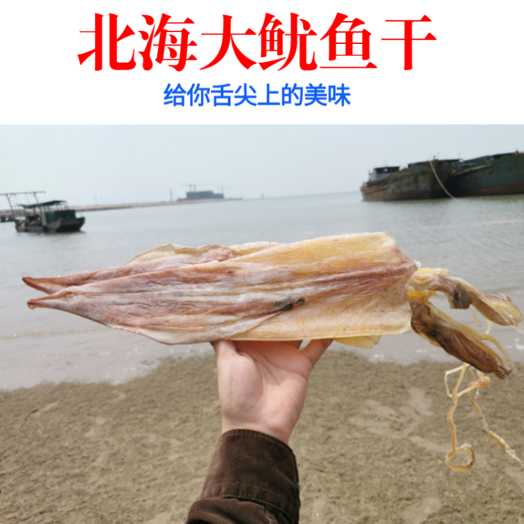 北海本地渔民船晒大鱿鱼干500g淡干吊晒大号鱿鱼干海鲜特产干货