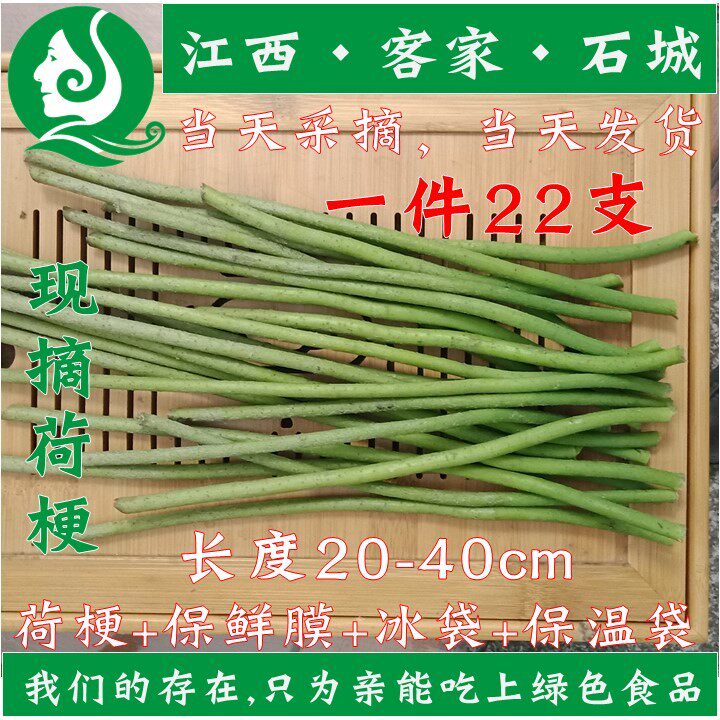 23年新鲜荷梗莲蓬杆荷叶梗荷花梗杆藕梗藕杆无硫莲藕梗整支22支