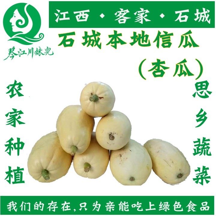 杏瓜23年5斤信瓜江西石城农家新鲜采摘蔬菜时令黄色瓜金黄瓜笋瓜