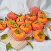 仿真柿子模型假水果枝柿子果树挂串插花秋天装 饰摆件婚庆新年礼物