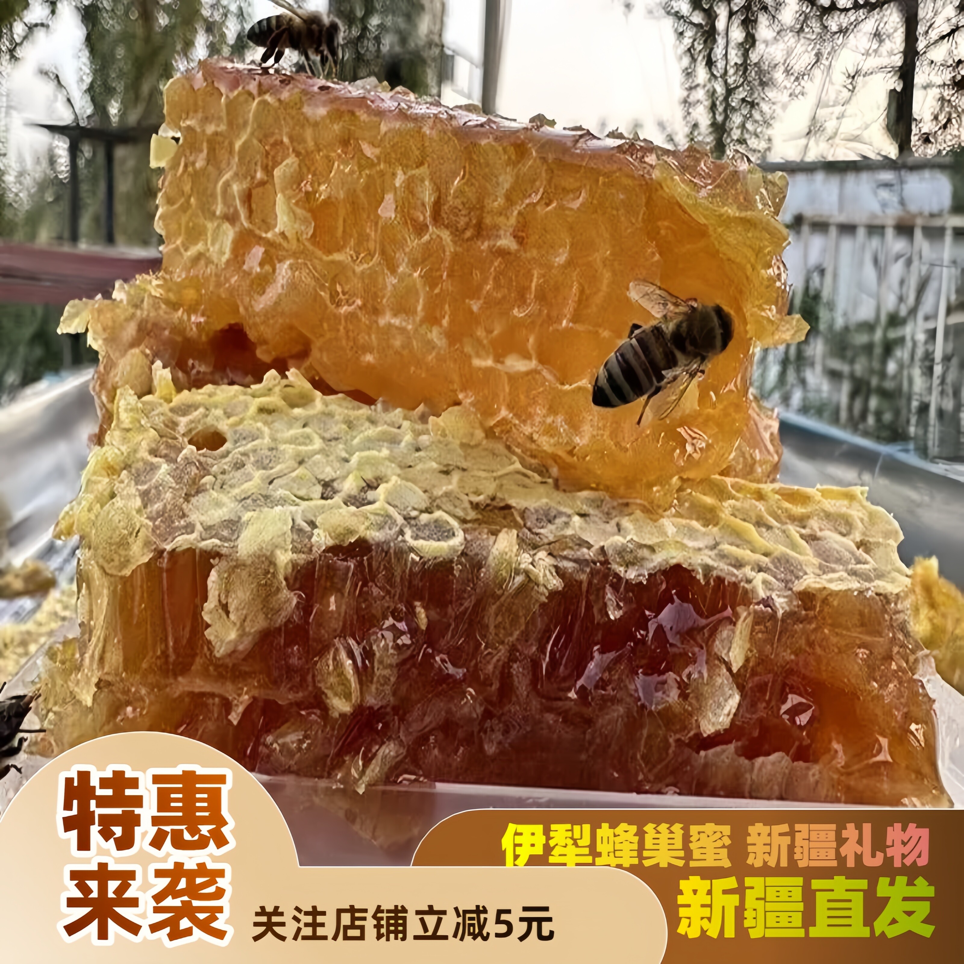 新疆新款上市优质精品疯狂促销甩卖特产牧场新鲜蜂巢蜜纯正原浆蜜