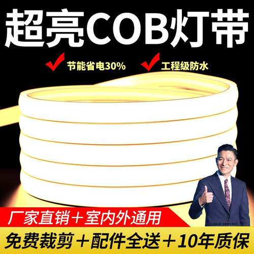 LED灯带220v户外防水超亮自粘线 线形灯家用客厅吊顶气氛灯COB软