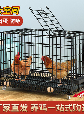 鸡笼子家用加粗大号养殖笼鸡舍鸡笼鸭笼鹅笼狗笼自动滚蛋鸡笼清仓