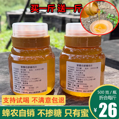 椴树蜜洋槐蜜新蜜到手2斤
