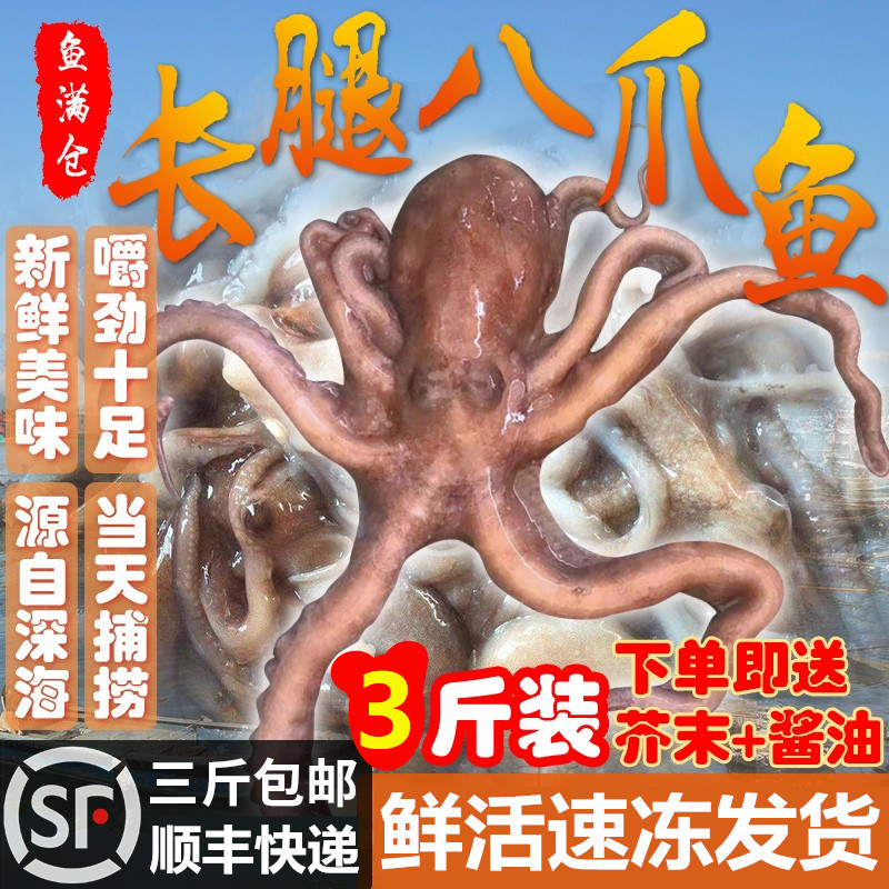 八爪鱼鲜活章鱼大爆头水产品长腿冷冻章鱼