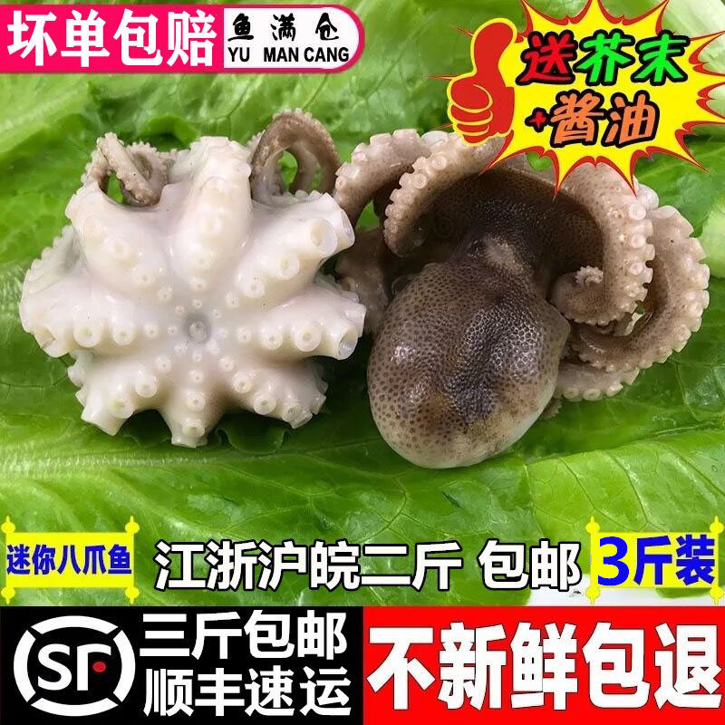 水产野生新鲜迷你八爪鱼爆头鲜活八爪鱼海鲜煮熟冻小章鱼顺丰快递