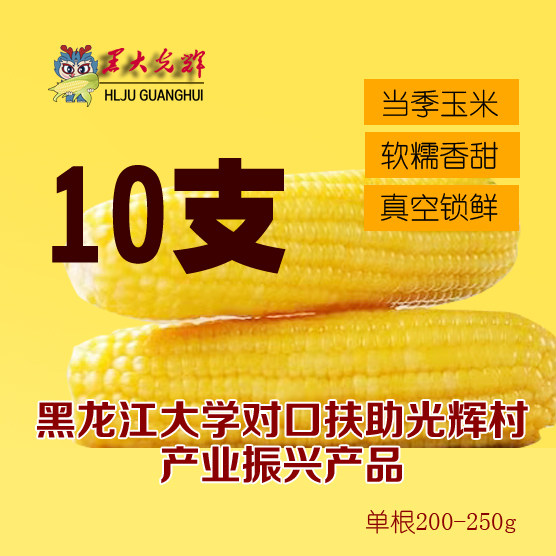 黑大光辉北纬47甜糯玉米东北真空包装无添加普通装10支/箱包邮寄