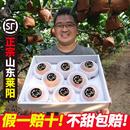 正宗山东莱阳秋月梨官方旗舰店现摘现发新鲜梨子10斤特级大礼盒装