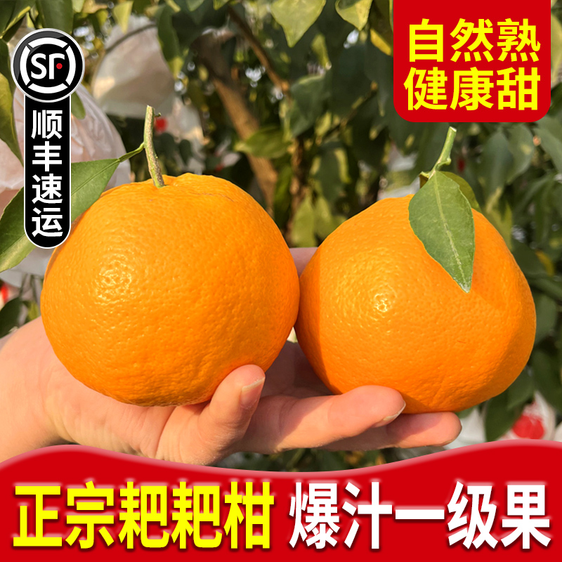 自然熟，健康甜！爆汁耙耙柑！