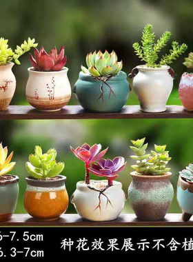 多肉花盆地面粗陶绿植物陶瓷简约个性创意桌面小盆栽花卉素烧盆器