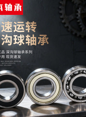 人本轴承6000-6020型号 高速轴承 原装正品批发 现货秒发开式2RZ