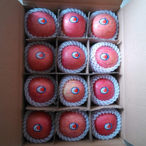 正宗陕西延安洛川当季红富士苹果