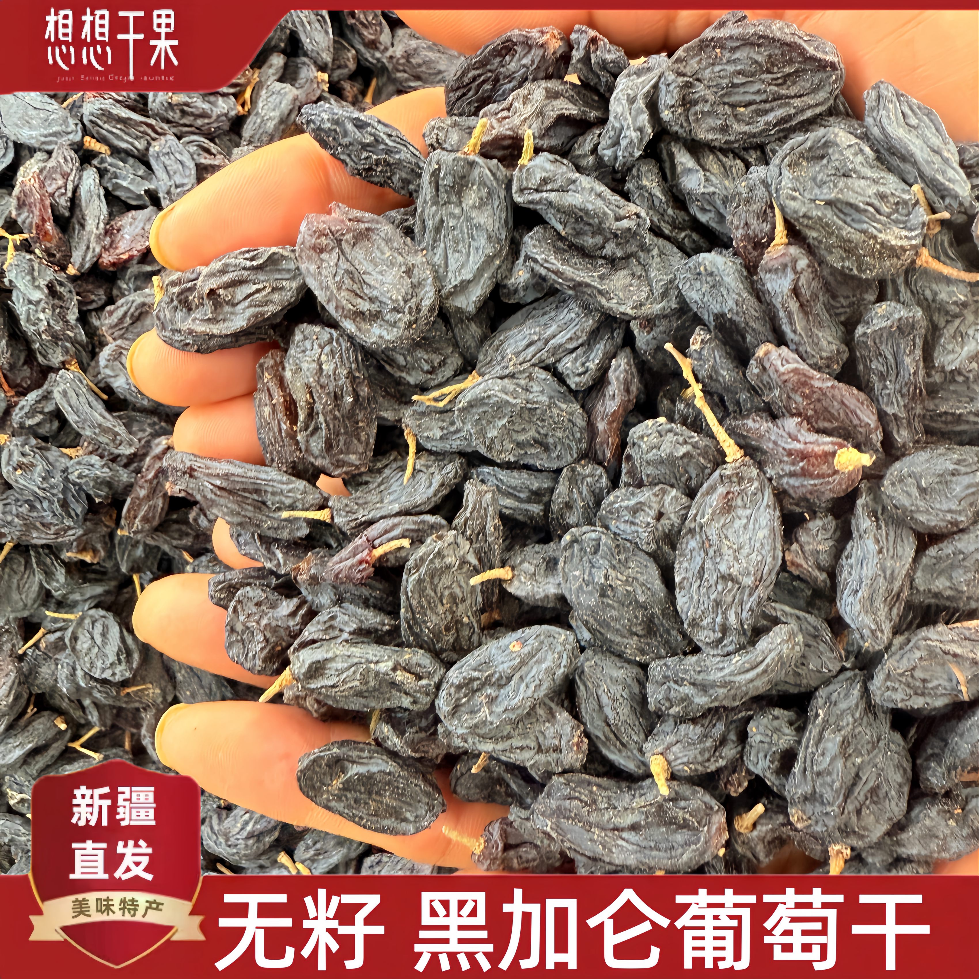 新疆特产 黑加仑葡萄干  休闲零食500g散装  新疆包邮