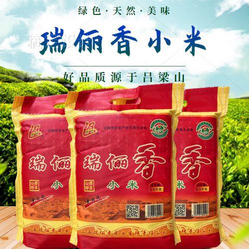 瑞俪香小黄米黄小米汾阳特产