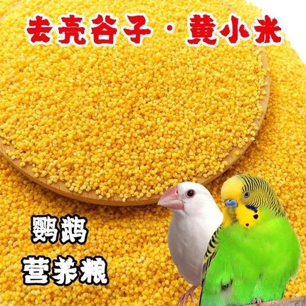 虎皮鹦鹉饲料鸟食玄凤谷子牡丹粮食文鸟不带壳黄小米黄雀鸟粮包邮