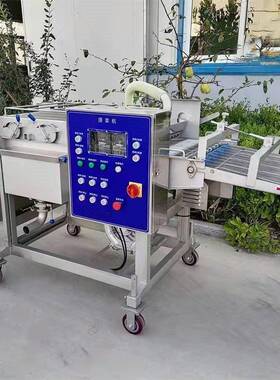 定制天妇罗产品上浆机 鸡米花上浆裹涂配套设备 JJ-4型辰谷裹浆机