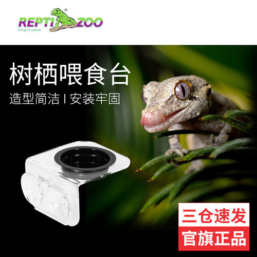 新派宠物Reptizoo爬虫水盆食盆 睫角日行守宫喂食台造景守宫水盆