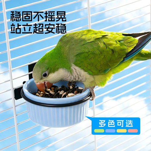 陶瓷挂笼鹦鹉小鸡喂食器