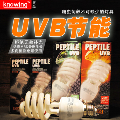 Knowing诺茵紫外线UVB灯爬虫多肉灯螺旋灯管E27灯口