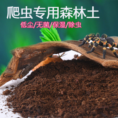 CM爬宠森林地表垫材雨林爬虫蜥蜴陆龟箱造景保湿除臭地表降解粪便